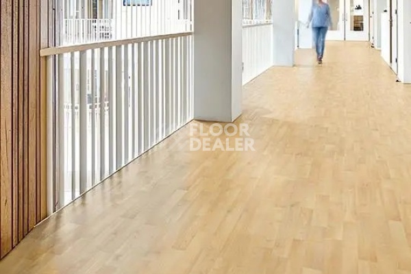 Линолеум Forbo Eternal Original 11122 natural beech фото 1 | FLOORDEALER